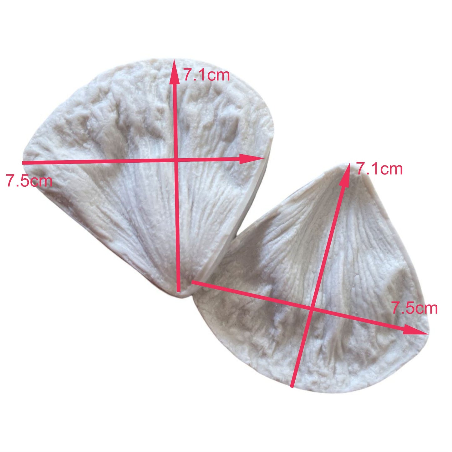 Molde Texturizador Pétalo De Peonia Grande