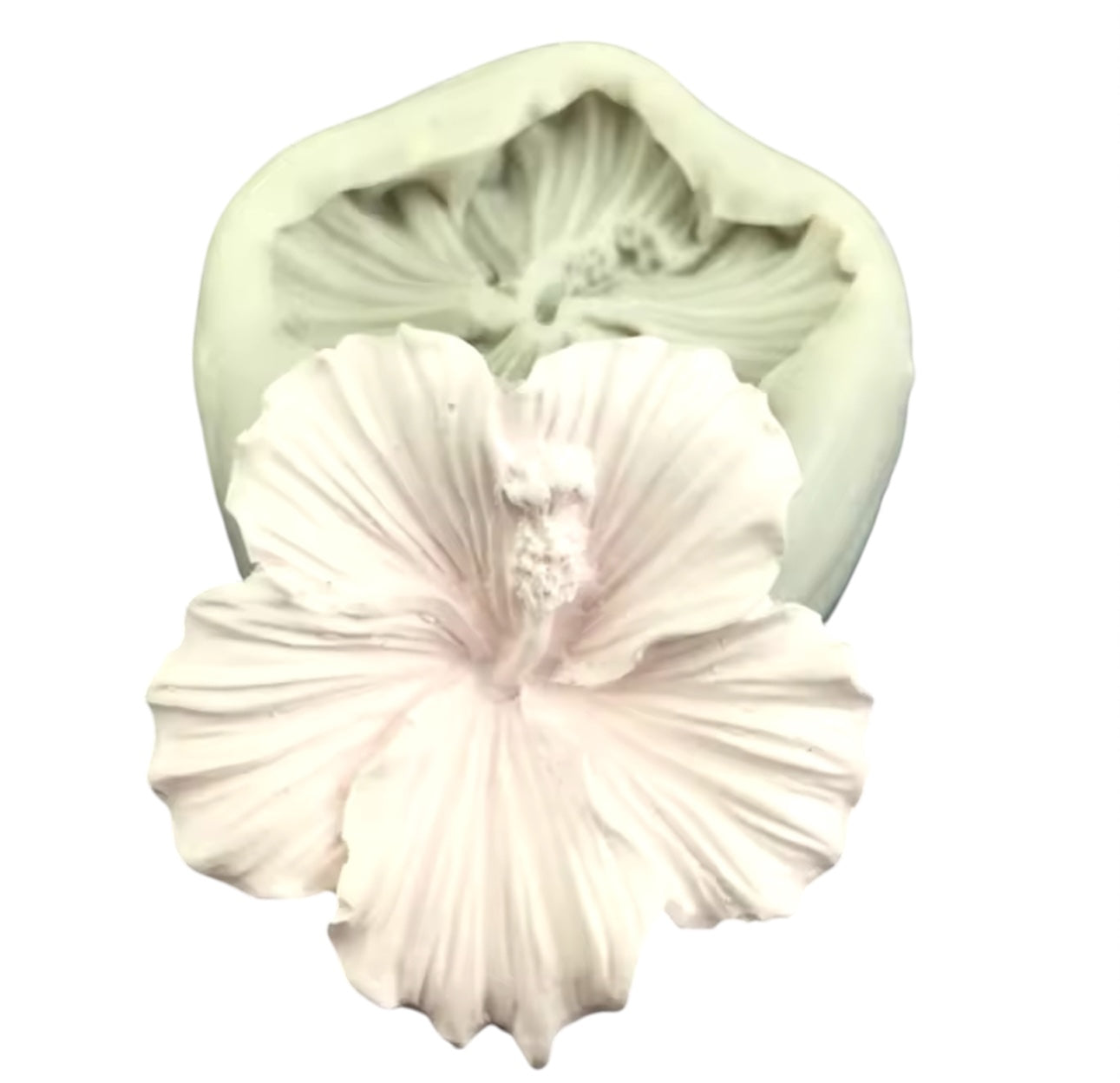 Molde Flor de Cayena